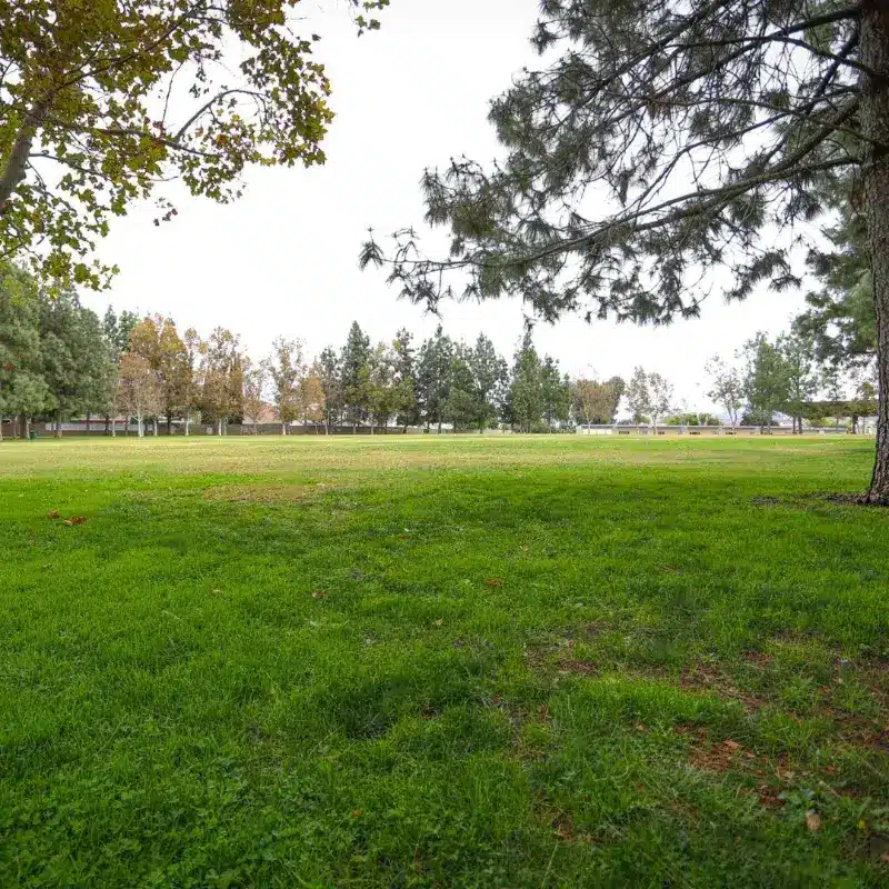 Hasley Canyon Neighborhood